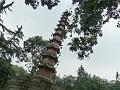 chengdu-wenshu-temple18